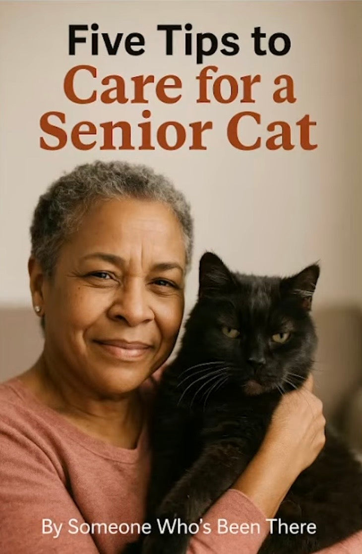 Five Tips To Care For A Senior Cat